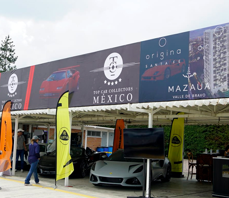 Galería Top Car Collectors México - imagen 3